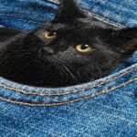 Cute Black Cat Denim Print Crossbody Bag – Casual Women's - Image 5